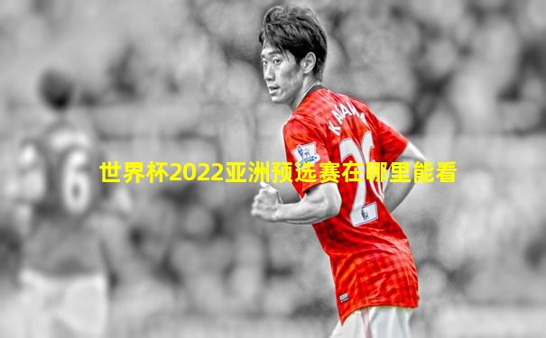 世界杯2022亚洲预选赛在哪里能看