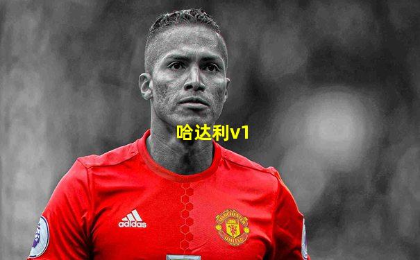 哈达利v1