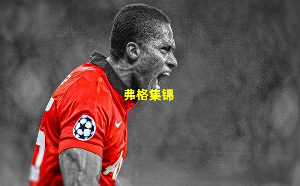 弗格集锦
