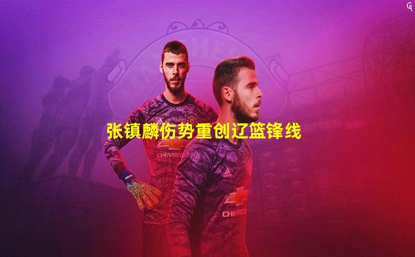 张镇麟伤势重创辽篮锋线