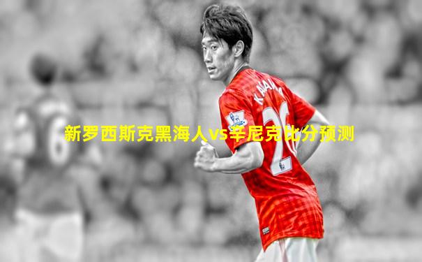 新罗西斯克黑海人vs辛尼克比分预测