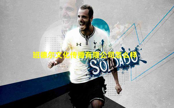 班德尔文化传播有限公司怎么样