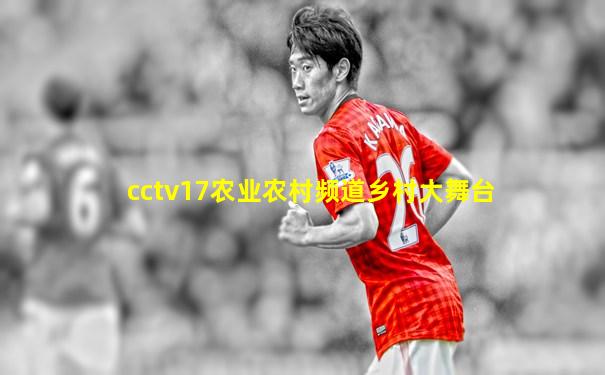 cctv17农业农村频道乡村大舞台