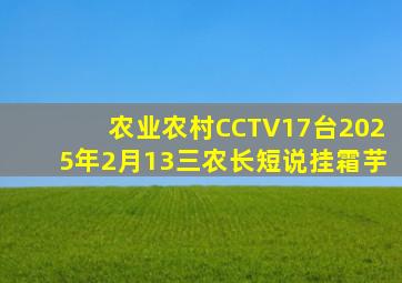 农业农村CCTV17台2025年2月13三农长短说挂霜芋