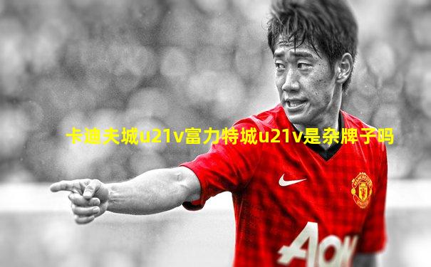 卡迪夫城u21v富力特城u21v是杂牌子吗