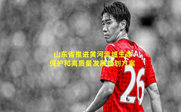 山东省推进黄河流域生态保护和高质量发展规划方案