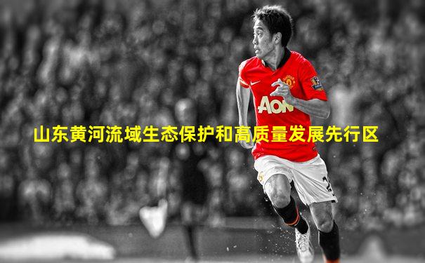 山东黄河流域生态保护和高质量发展先行区