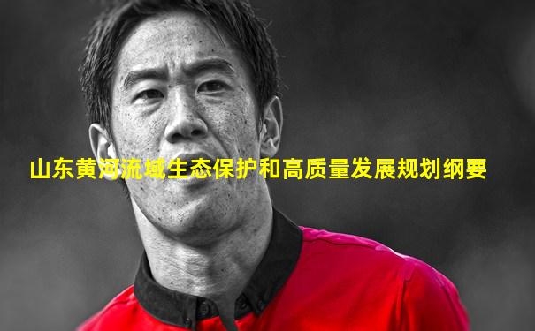 山东黄河流域生态保护和高质量发展规划纲要