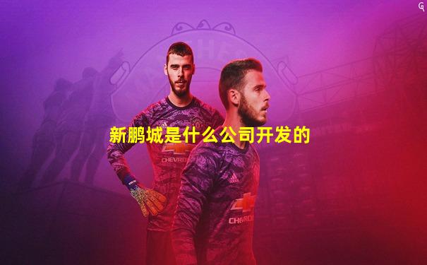 新鹏城是什么公司开发的