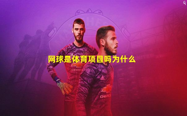 网球是体育项目吗为什么
