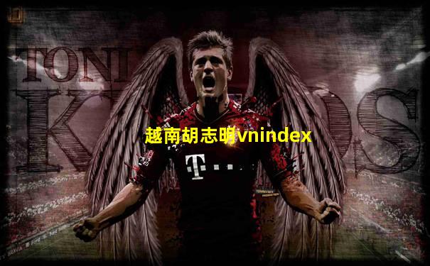 越南胡志明vnindex